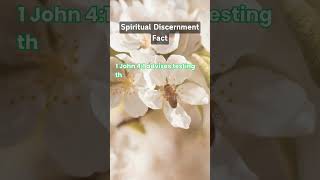 Spiritual Discernment Fact  What is Spiritual Discernment shorts [upl. by Ardnohs]