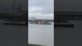 The Waverley on the Thames at northfleet [upl. by Toback]