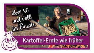 Kartoffeln ernten wie früher [upl. by Afihtan151]