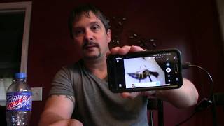 Review Endoscope  Borescope For Android and PC From Wish [upl. by Medlin606]