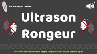 ULTRASONS anti fourmis [upl. by Cralg]