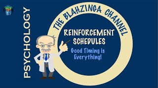 Reinforcement Schedules Good timing is everything [upl. by Atterual810]