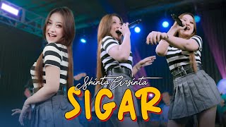 SIGAR  SHINTA ARSINTA Official Music Live Kesan indah pertama kau datang seolah cinta [upl. by Yecad]