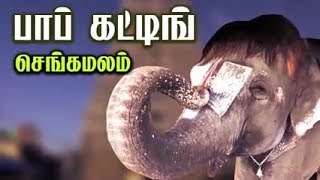 பாப் கட்டிங் செங்கமலம் [upl. by Atsirhc]