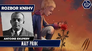 ❖ MALÝ PRINC  Antoine de Saint Exupery  Rozbor knihy  LUKAS IV HOUSE [upl. by Joashus]