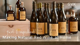 How to Make Natural Red Wine at Home [upl. by Quintie]