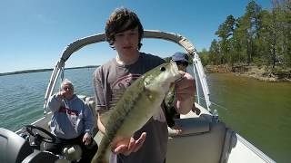 Fishing For Spotted Bass In CLEAR Water  Lake Russell [upl. by Salohci]