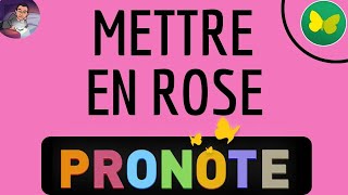 PRONOTE en ROSE comment mettre et avoir Pronote en rose [upl. by Naut]