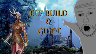 SemiSerious Elf GuideBuilds  Vermintide 2 [upl. by Ettelloc891]