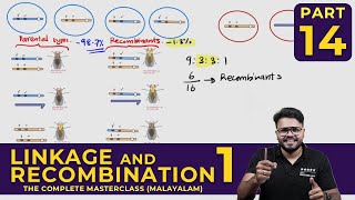 Mastering LINKAGE AND RECOMBINATIONPART 01  Principles of Inheritance and Variations  CLASS 14 [upl. by Fairweather]