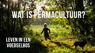 Leven in een Voedselbos volgens Permacultuur Principes Dit is mijn verhaal [upl. by Mandal248]