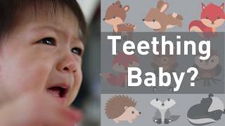 Do Teething Babies Need Medicine on Their Gums No [upl. by Kcirret]