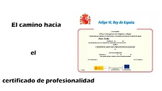 El procedimiento de acreditación de competencias para candidatosas [upl. by Wylde304]