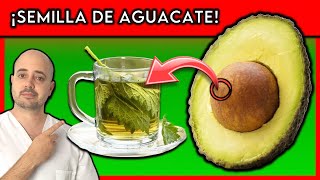 ENFERMEDADES que CURA la SEMILLA DE AGUACATE  ¿COMO TOMARLA [upl. by Ajdan]