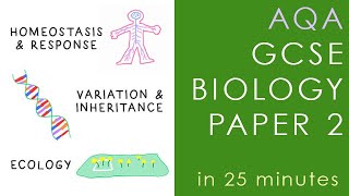 All of AQA BIOLOGY Paper 2 in 25 minutes  GCSE Science Revision [upl. by Arimaj597]