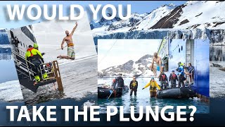 Would You Do the Polar Plunge on Your Antarctica Cruise [upl. by Ezequiel743]