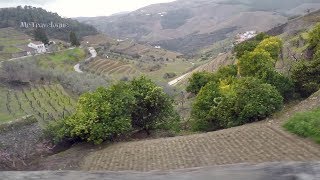 The Quinta da Avessada Wine Estate amp the most Scenic Douro Road [upl. by Lindahl]