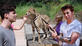 Our Last Night  PLAYING WITH CHEETAHS at Cat Haven OLN TV Episode [upl. by Chubb]