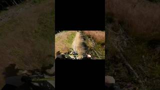 Bikepark Willingen meets Enduro Trail  love it shorts [upl. by Ulick403]