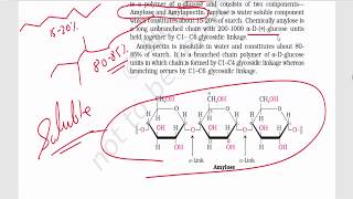 Biomolecules Part 3  Disaccharides amp Polysaccharides  Sucrose Maltose Lactose Starch [upl. by Aluk]