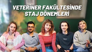 Veteriner Fakültesinde Staj Dönemleri [upl. by Kazim]