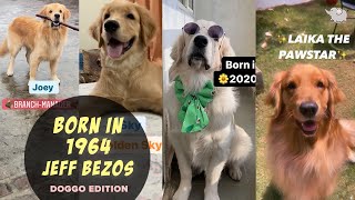 BORN IN 1964 JEFFREY JEFFREY BEZOS  ANIMAL EDITION TIKTOK COMPILATION  GOLDEN RETRIEVER VERSION [upl. by Ahrens950]