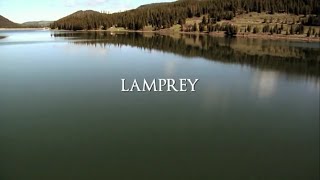 Blood Lake Attack of the Killer Lampreys 2014 Hindi Dubbed 360p [upl. by Elisabeth]