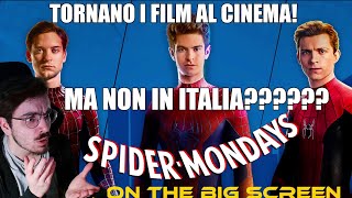 TUTTI I FILM DI SPIDERMAN TORNANO AL CINEMA MA NON IN ITALIA GEXADVUOLESPIDERMANALCINEMA [upl. by Airetak]