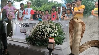 Ginang Natuklaw ng COBRA sa Malasiqui Pangasinan [upl. by Amihc660]