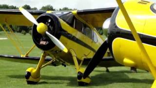 Fun Flying Cabin Wacos at the Poplar Grove Airport [upl. by Urbain]