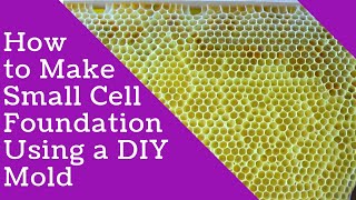 How to Make Small Cell Foundation Using a DIY Mold I Homemade Beeswax Foundation [upl. by Lorou]