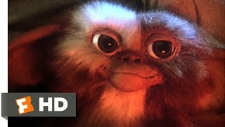 Gremlins  The Death of Stripe 1080p HD [upl. by Ydissak]