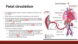 Fetal Circulation  Cardiovascular system  Step 1 Simplified [upl. by Brandie275]