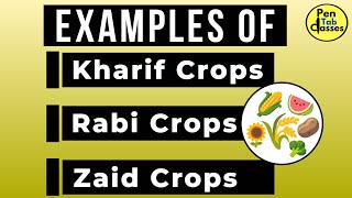 Crops Rabi  Kharif  Zaid Examples [upl. by Annavaig]