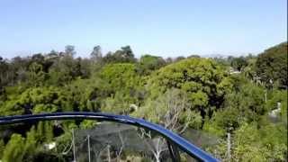 Pivothead Glasses Cam Gondola Ride At The San Diego ZOO Balboa Park [upl. by Irrej]