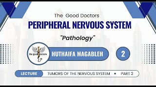 Lecture 2  CNS tumors 2  Pathology CNS [upl. by Jempty946]