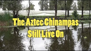 The Aztec Chinampas Live On [upl. by Aliber640]