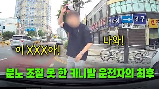 23174회 신호에 따라 좌회전하고 있는데 직진 차로에서 끼어들던 카니발 오히려 적반하장 화를 내던 카니발 운전자의 최후 [upl. by Nanete118]