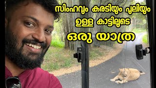 Bannerghatta biological park  Forest Safari  Travel With Nidhin [upl. by Lladnik]