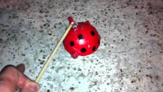 Lady Bug Spinning Aerial Firework Demonstration by Reaganzi [upl. by Neumeyer]