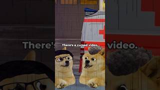 doge watches a cursed video [upl. by Avahc]