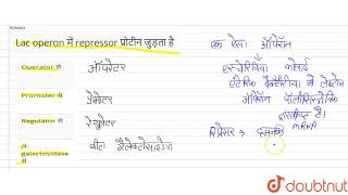 Lac operon में repressor प्रोटीन जुड़ता है [upl. by Rosetta746]