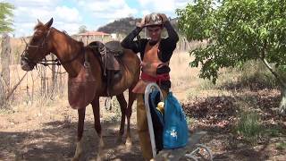 GUILHERME BOTANDO O CAVALO PRA COMER A GOIABA DO REI DAS SERPENTES [upl. by Berl212]