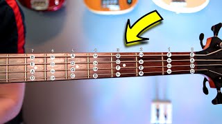 Music Theory For BASSISTS  What You MUST Know [upl. by Oirad]