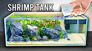 Beautiful amp Easy Planted Tank For Shrimp Step by Step [upl. by Blanca]