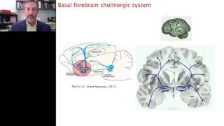 Jim Fadel  The OrexinHypocretin System in Aging and Cognition [upl. by Sibylle416]