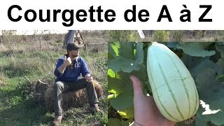 La Courgette de A à Z presque [upl. by Halie368]