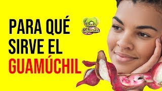 Para Que Sirve El Guamuchil Estas Son Las Enfermedades Que Cura El Guamuchil [upl. by Copeland]