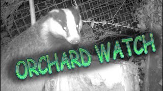 Orchard Watch [upl. by Stratton]