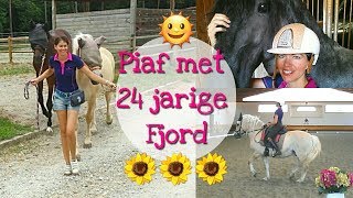 DRESSUUR IS VOOR ELK PAARD  VLOG 68 Jolanda Adelaar [upl. by Ludvig643]